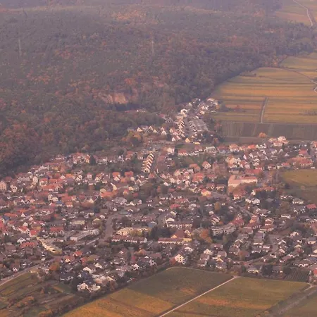 Auf Dem Bio-weingut Apartament Neustadt an der Weinstraße