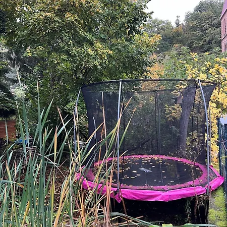 Auf Dem Bio-weingut * Neustadt an der Weinstraße