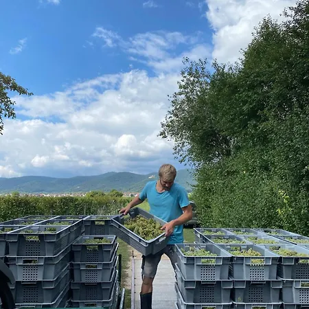 Auf Dem Bio-weingut Lägenhet *