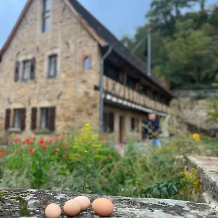 Apartament Auf Dem Bio-weingut
