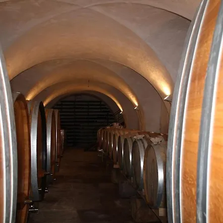 Auf Dem Bio-weingut Apartament *