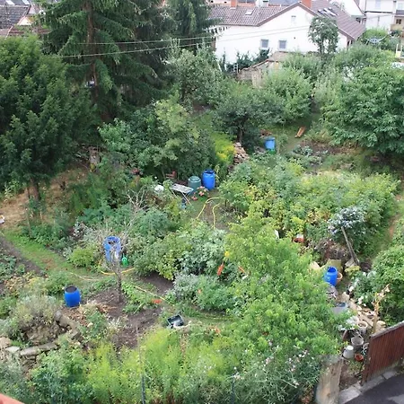 Auf Dem Bio-weingut Apartament