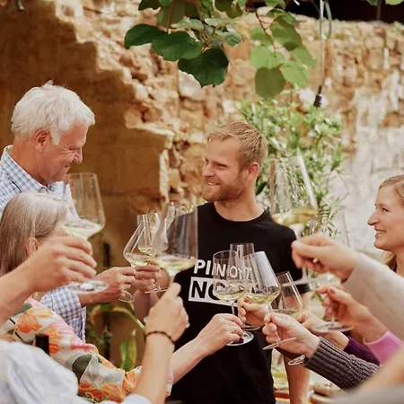 Apartament Auf Dem Bio-weingut *
